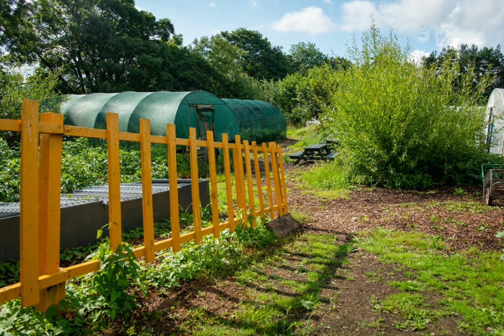 Garden beds and small greenhouses behind a yellow picket fence