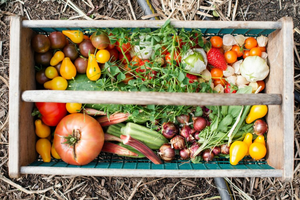 A crate packed with tomatoes, capsicums, okra and herbs